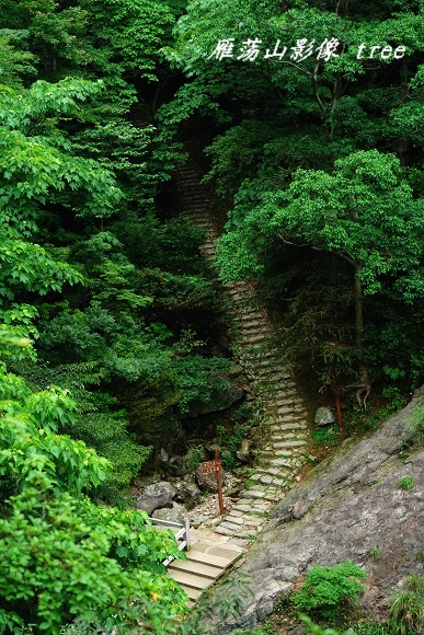 [原创]雁荡山影像