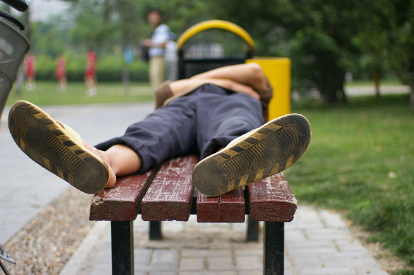 ~~~濠东绿地~那人~那狗
