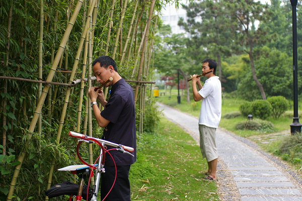 ~~~濠东绿地~那人~那狗