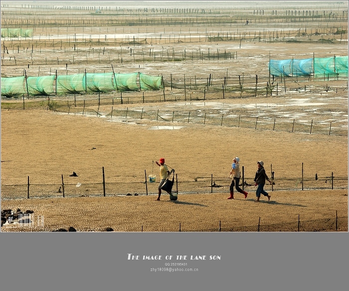 [原创]海边印象---启东篇