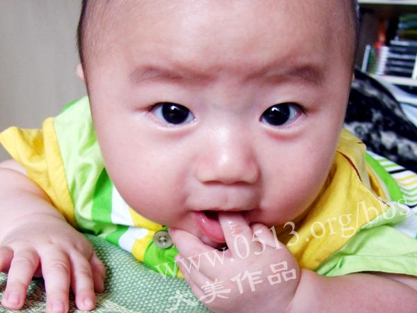 许征、coco快来看我宝宝的照片 好玩得没魂