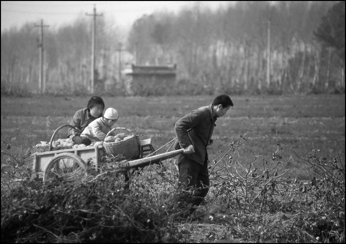 走在80年代的大路上