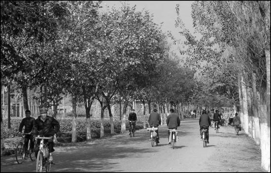 走在80年代的大路上