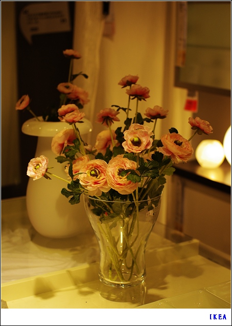 狗狗和烟草不得入内～～～～