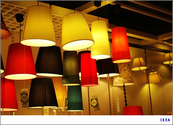 狗狗和烟草不得入内～～～～