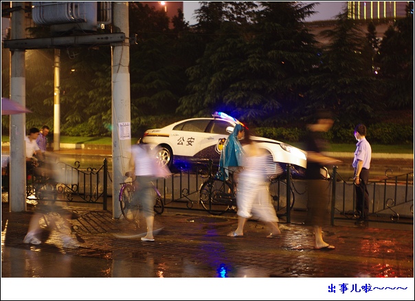 狗狗和烟草不得入内～～～～