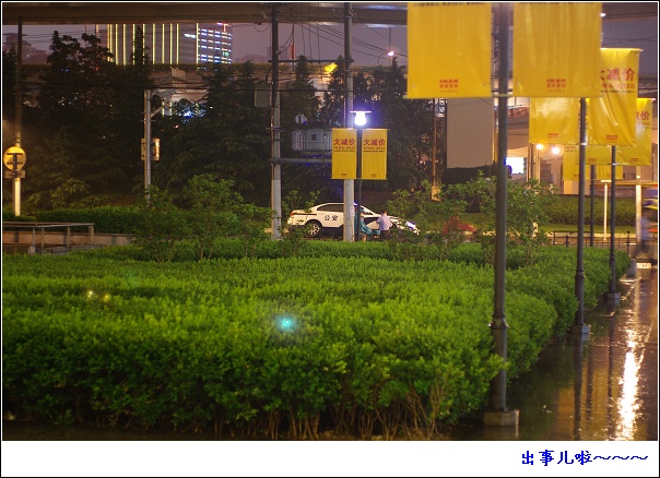 狗狗和烟草不得入内～～～～