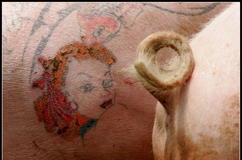 纹身现在确实比较时髦!