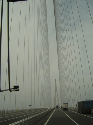 [灌水]与苏通大桥亲密接触