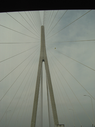 [灌水]与苏通大桥亲密接触