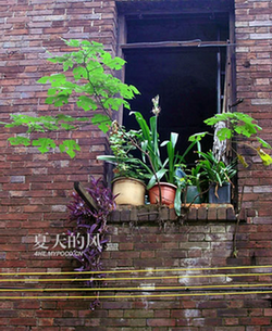 ７月　连风都是热的