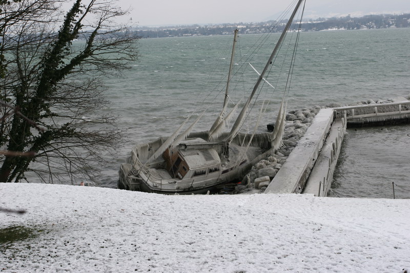 天气太热了，发点凉快的给大家降降温！
