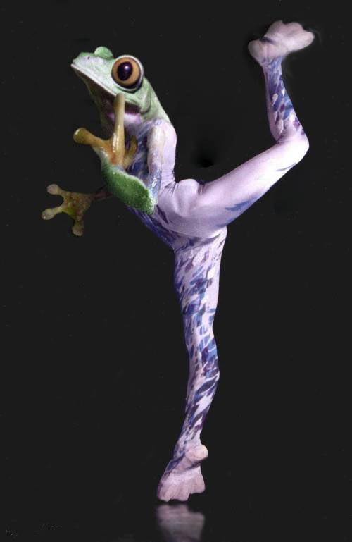 我也发个美腿！