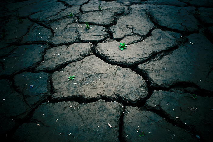 [原创]8.17长青沙外拍活动纪实