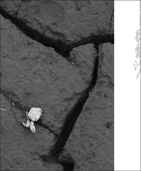 ~~~ 8-17长青沙半日记 ~~~