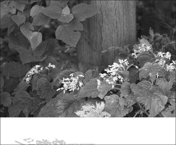 ~~~ 8-17长青沙半日记 ~~~