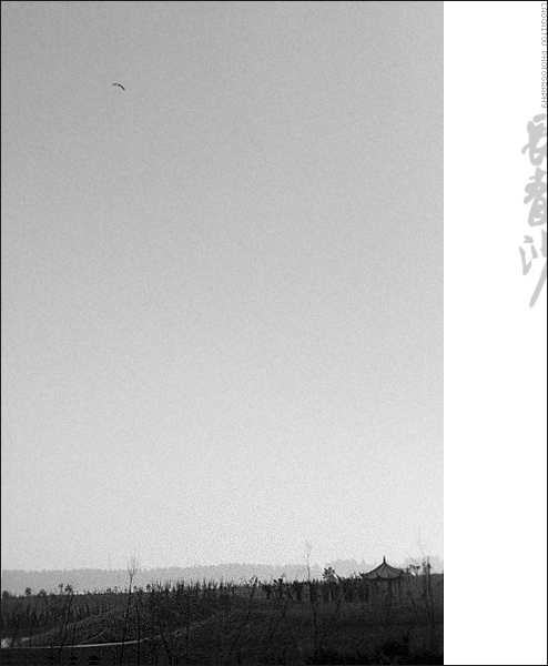 ~~~ 8-17长青沙半日记 ~~~