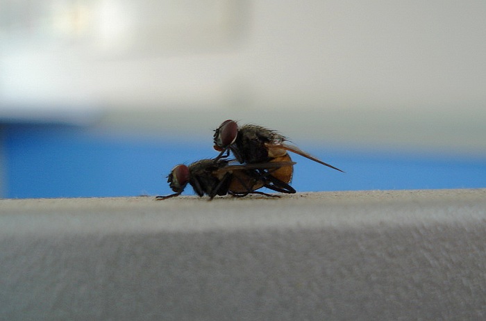 耶，，，我找到了。。。办公室偷情图