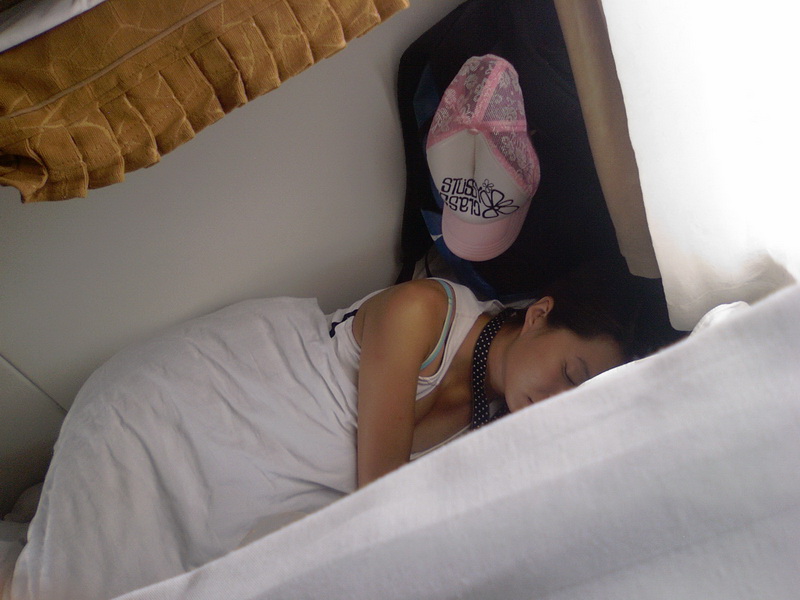 本人手机亲自偷拍到东北虎－－绝对不是周氏纸老虎