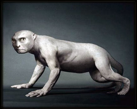 人是由鱼变来的！！