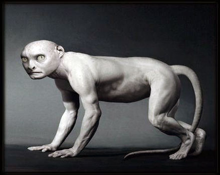 人是由鱼变来的！！