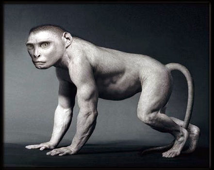 人是由鱼变来的！！