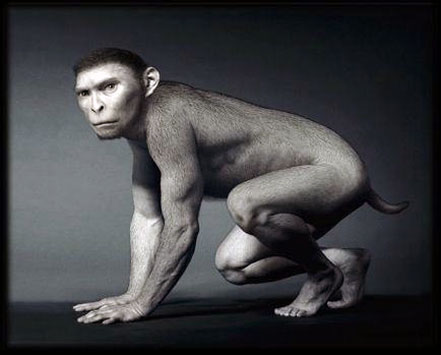 人是由鱼变来的！！