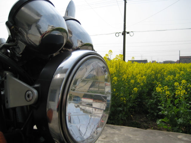 [原创]卡片机随拍