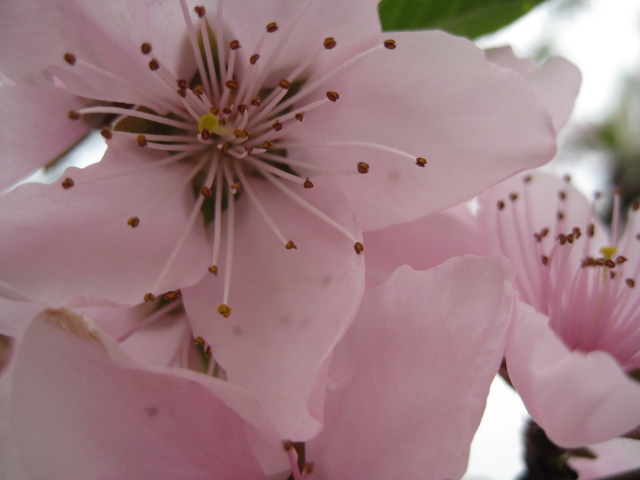 [原创]卡片机随拍