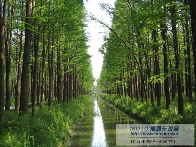 [原创]卡片机随拍