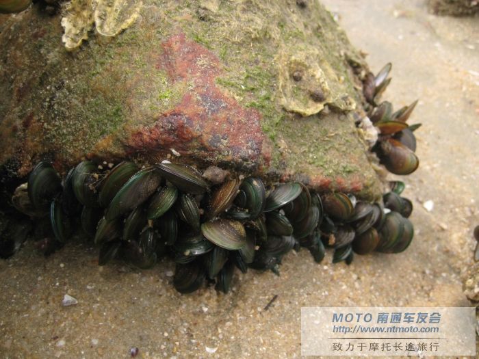 [原创]卡片机随拍