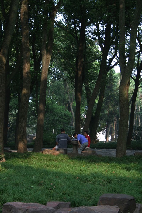 苏州、天目湖随拍