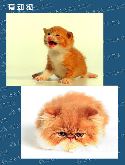 当我的帖子被管理员删除之后！