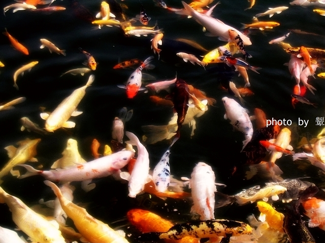 [原创]四月的照片