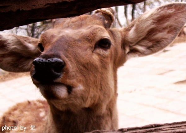 [原创]四月的照片