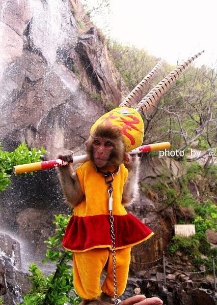 [原创]四月的照片