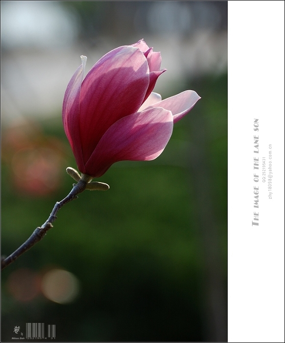 [原创] 纯美大自然