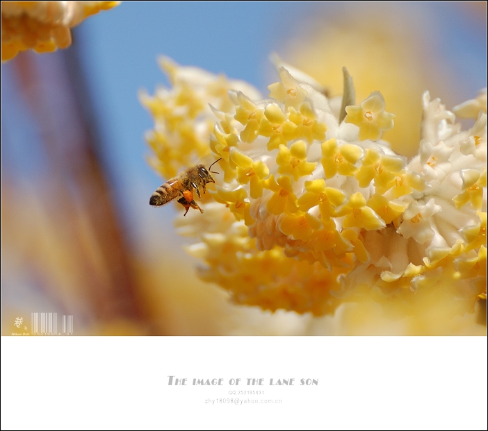 [原创] 纯美大自然