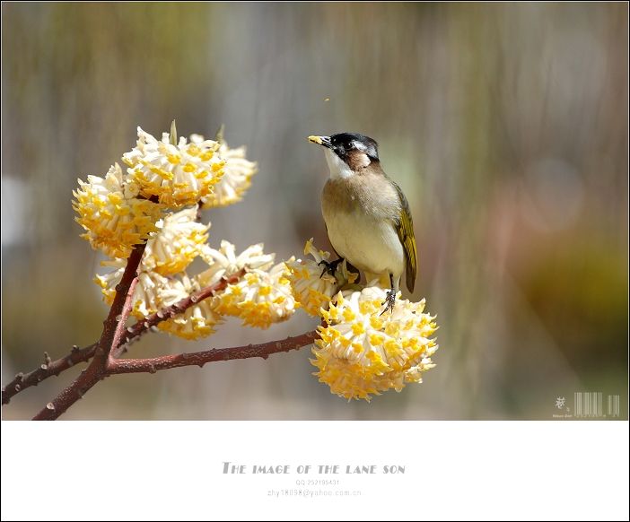 [原创] 纯美大自然
