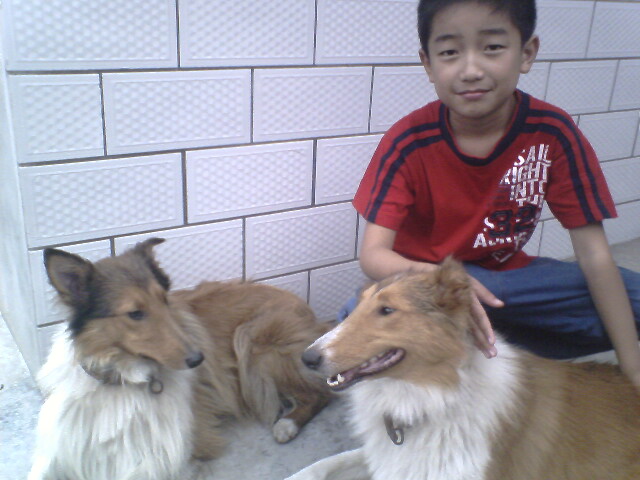 大家来看看我儿子养的2条狗，可爱不？？