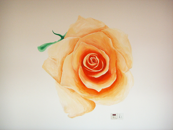 本人手绘墙，有兴趣的看看，主张你的个性你的美！！