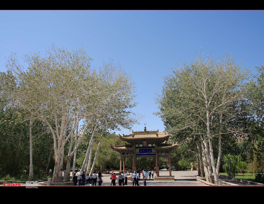 南通－西安－敦煌－十日－怒放的生命