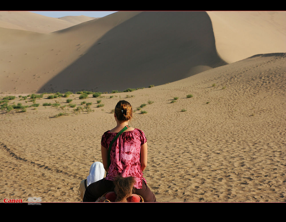 南通－西安－敦煌－十日－怒放的生命