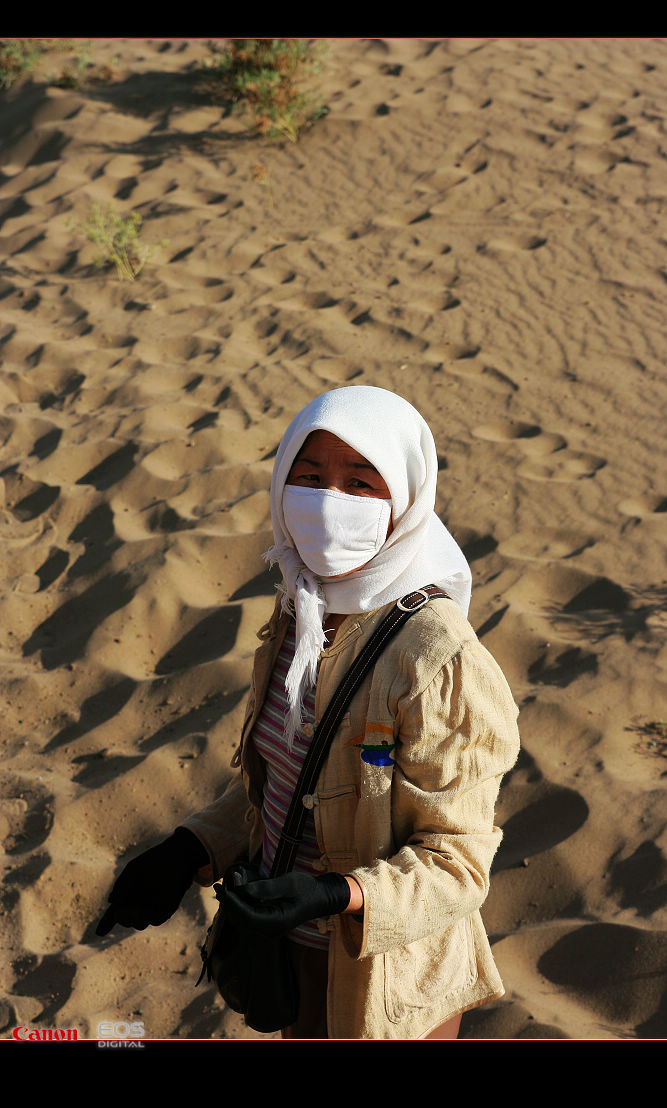 南通－西安－敦煌－十日－怒放的生命