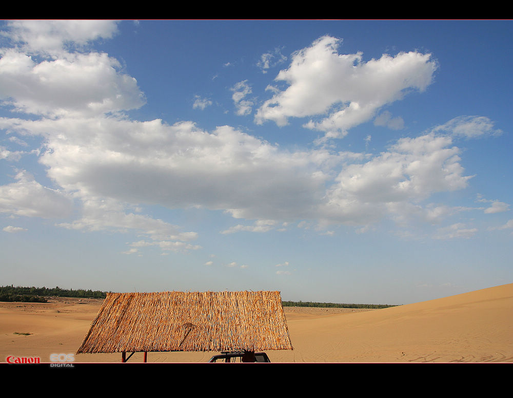 南通－西安－敦煌－十日－怒放的生命