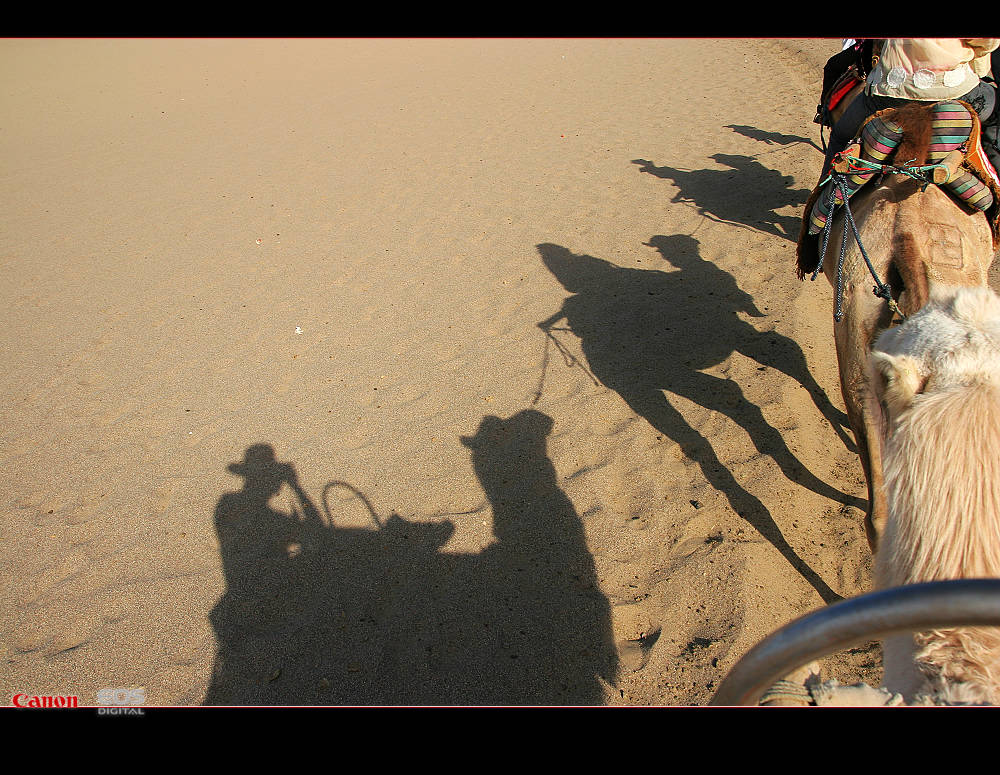南通－西安－敦煌－十日－怒放的生命