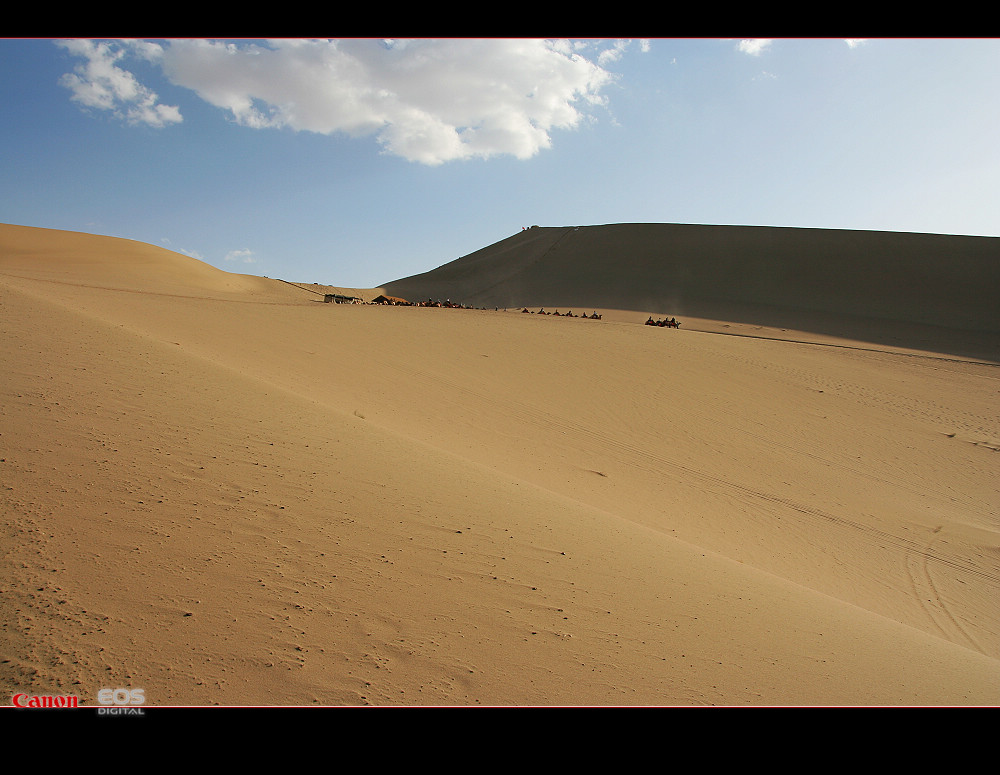 南通－西安－敦煌－十日－怒放的生命