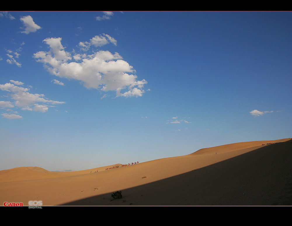 南通－西安－敦煌－十日－怒放的生命