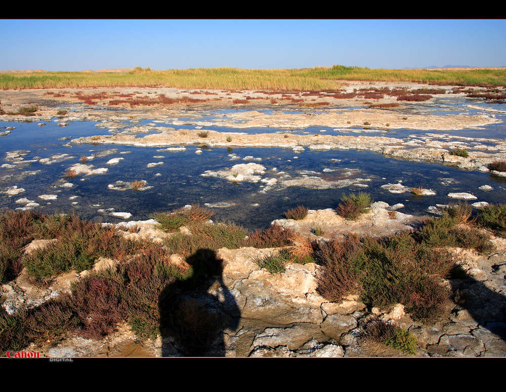 南通－西安－敦煌－十日－怒放的生命