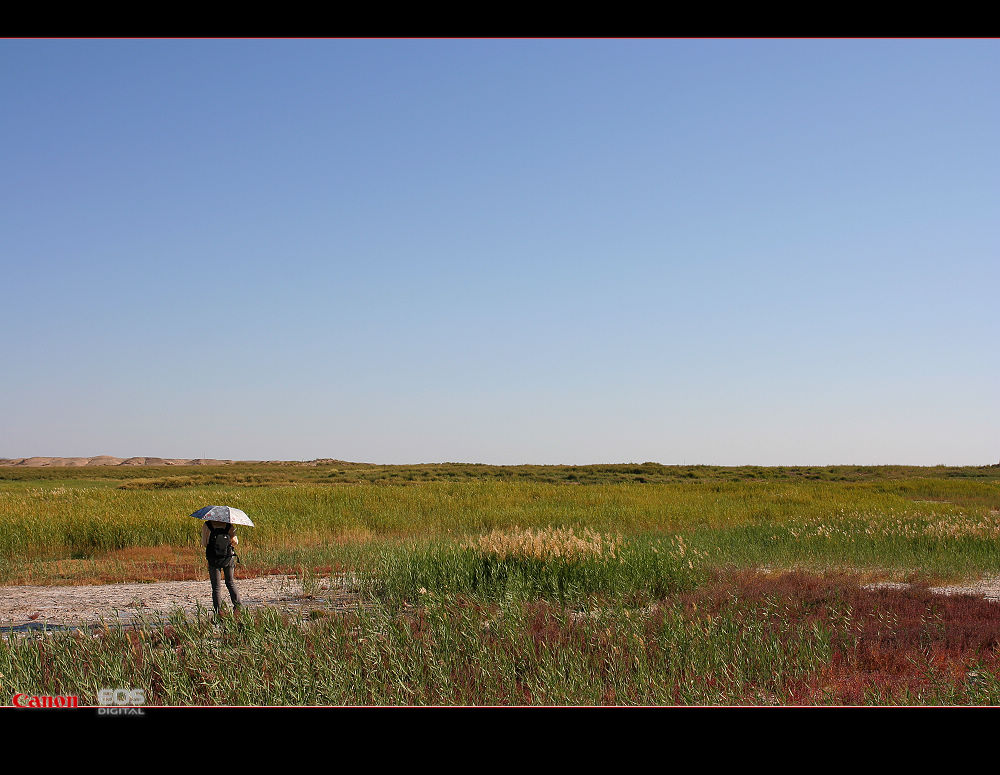 南通－西安－敦煌－十日－怒放的生命